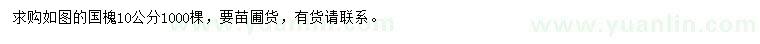 求購(gòu)10公分國(guó)槐