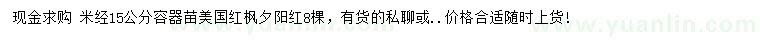 求購(gòu)米經(jīng)15公分美國(guó)紅楓
