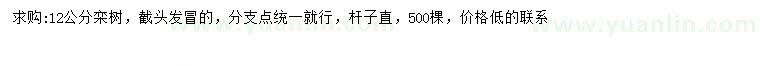 求購(gòu)12公分欒樹
