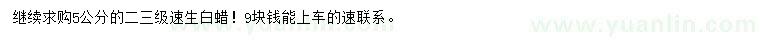 求購5公分速生白蠟