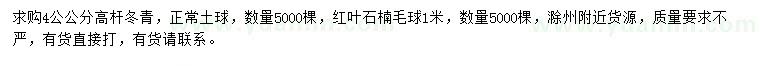 求購4公公分高桿冬青、1米紅葉石楠球