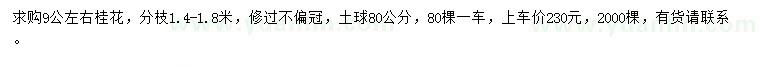 求購(gòu)9公分桂花