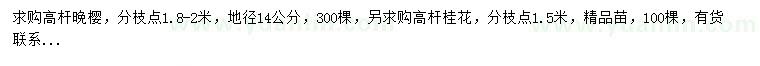 求購(gòu)地徑14公分高桿晚櫻、高桿桂花