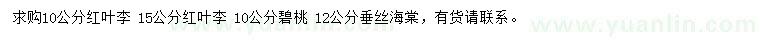 求購(gòu)紅葉李、碧桃、垂絲海棠