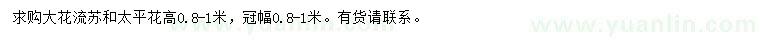 求購(gòu)高0.8-1米大花流蘇、太平花