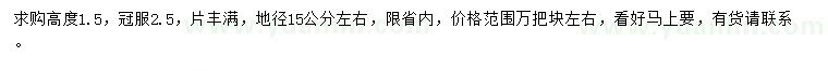 求購(gòu)高1.5米羅漢松