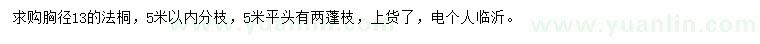 求購(gòu)胸徑13公分法桐