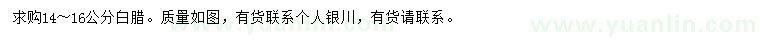 求購14-16公分白臘