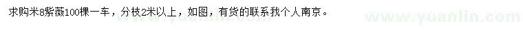 求購8米紫薇