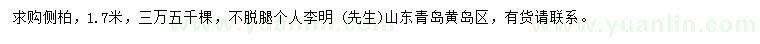 求購(gòu)1.7米側(cè)柏