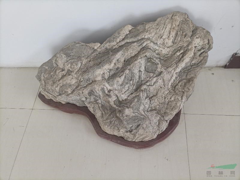 山東國(guó)槐小苗，國(guó)槐種子，山東速生白蠟，山東苗木公司