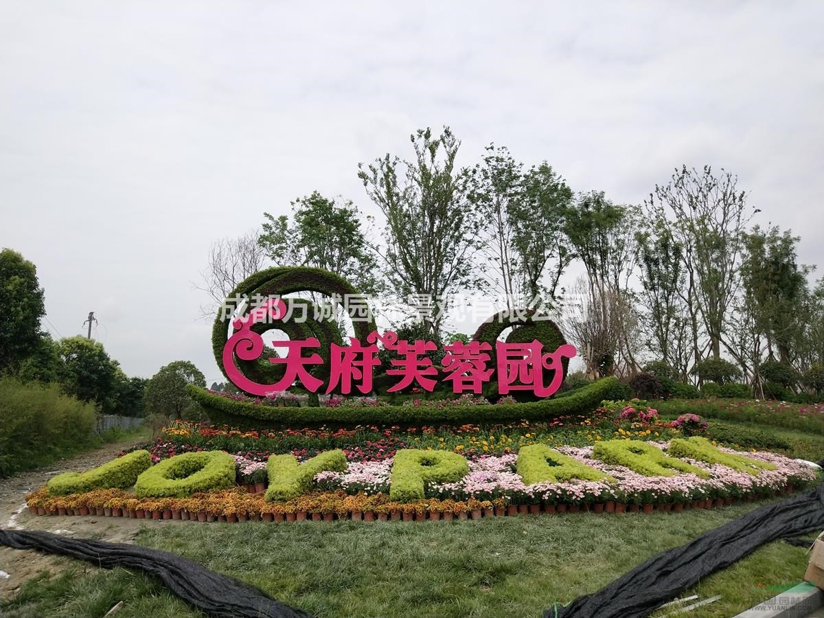 定做五色草植物造型雕塑厂家直销物美价廉
