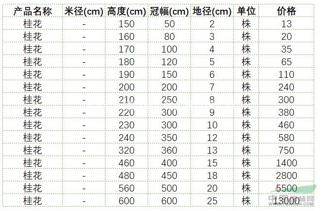 供應桂花，桂花樹 丹桂，金桂，銀桂，四季桂花各種桂花