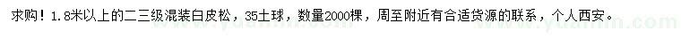 求購1.8米以上白皮松
