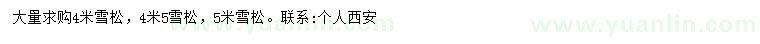 求購(gòu)4、4.5米雪松