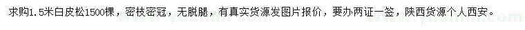 求購1.5米白皮松