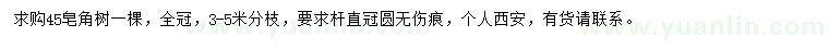 求購45公分皂角樹