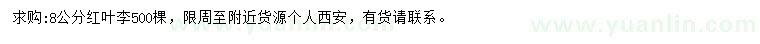 求購(gòu)8公分紅葉李
