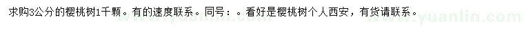 求購3公分櫻桃樹
