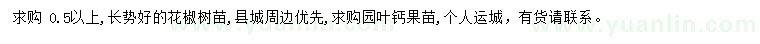 求購花椒苗、園葉鈣果苗