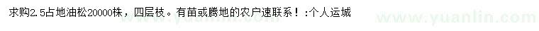 求購油松