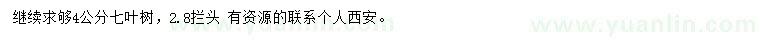 求購(gòu)4公分七葉樹(shù)