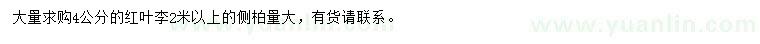 求購(gòu)4公分紅葉李