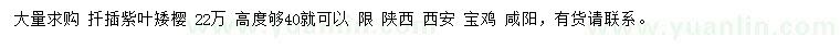 求購紫葉矮櫻
