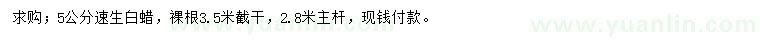 求購5公分速生白蠟   