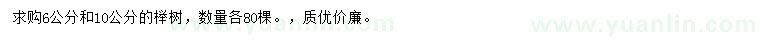 求購6、10公分櫸樹
