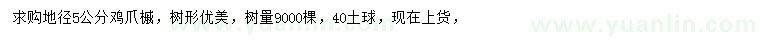 求購地徑5公分雞爪槭