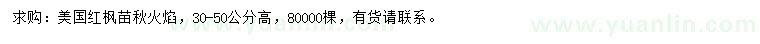 求購(gòu)高30-50公分秋火焰