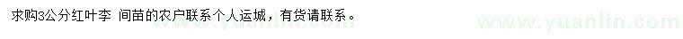 求購3公分紅葉李
