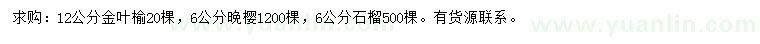 求購金葉榆、晚櫻、石榴