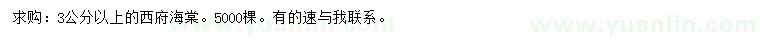 求購(gòu)3公分以上西府海棠