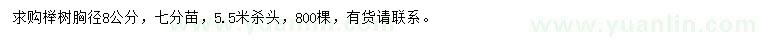 求購胸徑8公分櫸樹