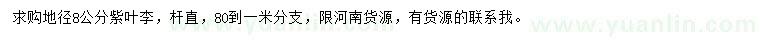 求購地徑8公分紫葉李