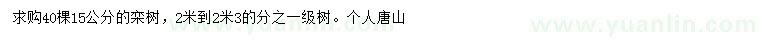 求購15公分欒樹