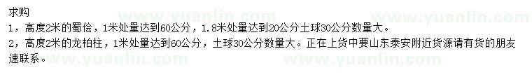 求購高2米蜀檜、龍柏