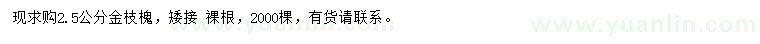 求購2.5公分金枝槐