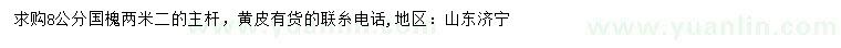 求購8公分國槐
