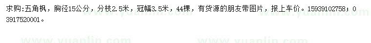 求購胸徑15公分五角楓