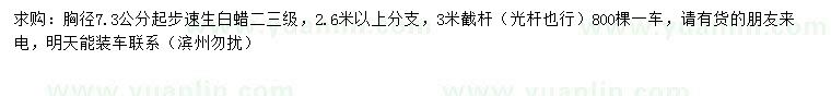 求購胸徑7.3公分起步速生白蠟