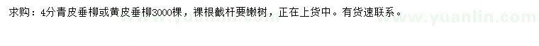 求購4公分青皮垂柳或黃皮垂柳