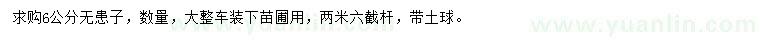 求購胸徑6公分無患子