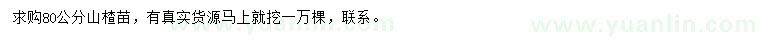 求購(gòu)80公分山楂苗