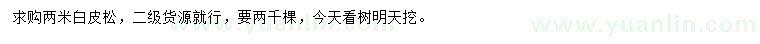 求購2米白皮松
