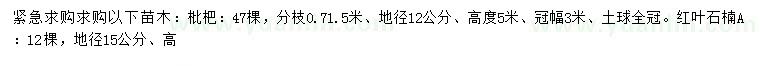 求購地徑12公分枇杷、15公分紅葉石楠