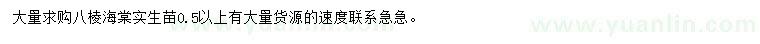 求購(gòu)八棱海棠苗