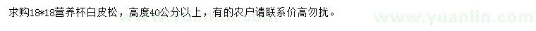 求購高40公分以上白皮松